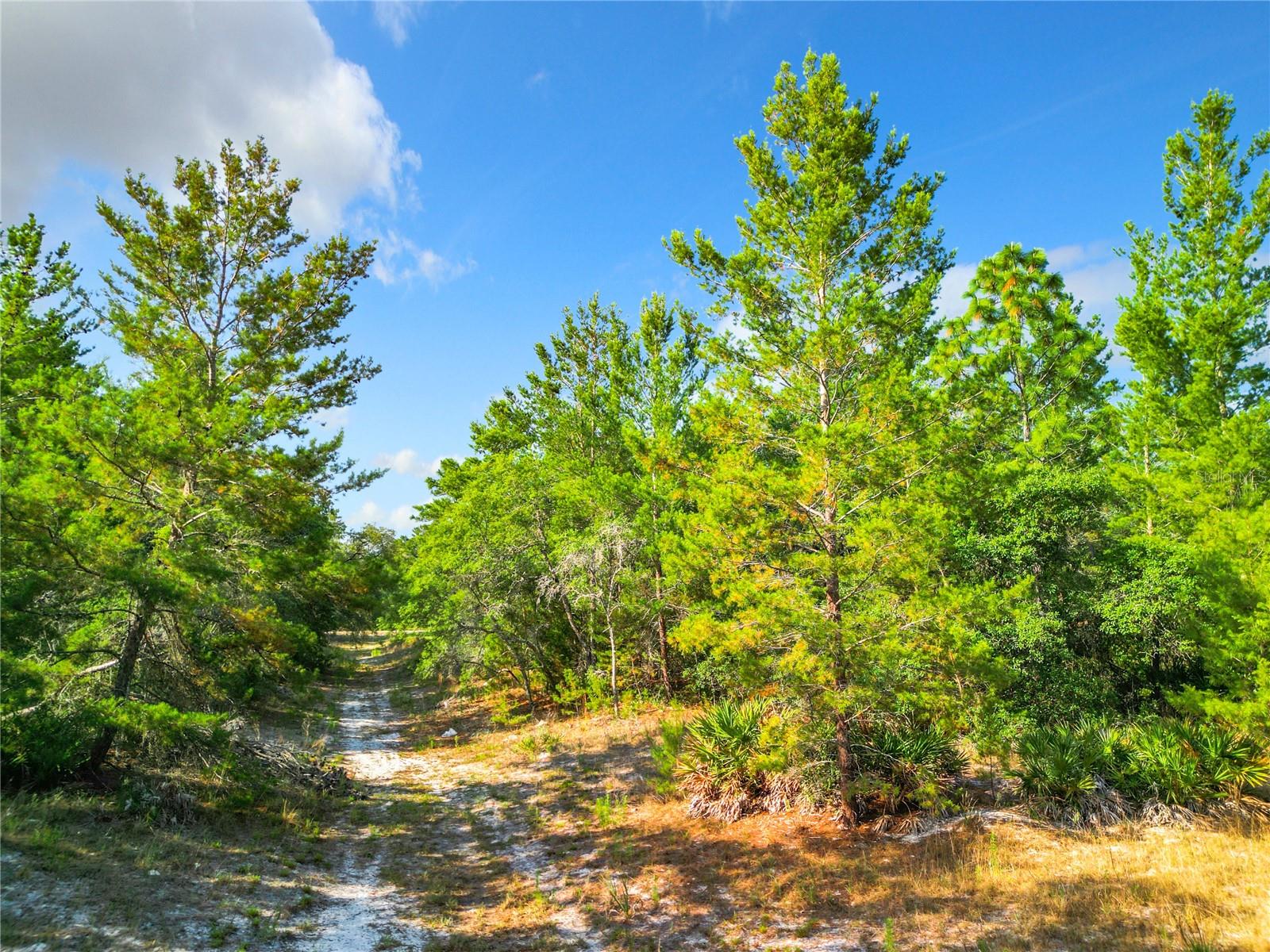 7380 BAHAMA SWALLOW AVE, BROOKSVILLE, FL, 34613