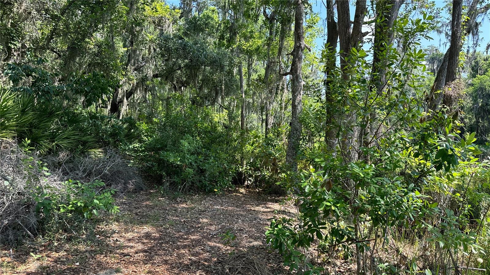 000 HULL RD, CLERMONT, FL, 34711