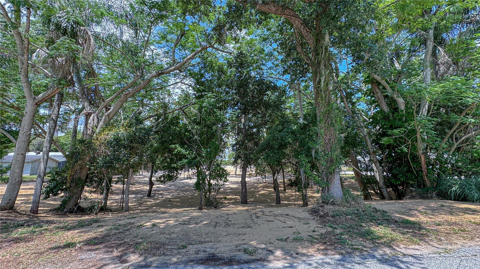 000 HULL RD, CLERMONT, FL, 34711