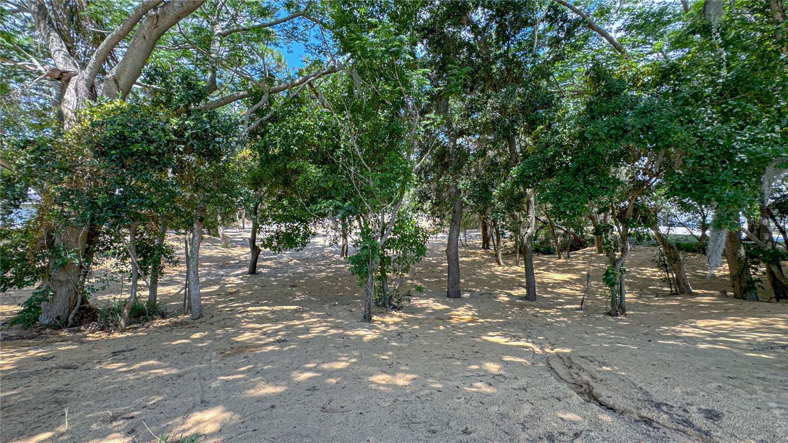 000 HULL RD, CLERMONT, FL, 34711