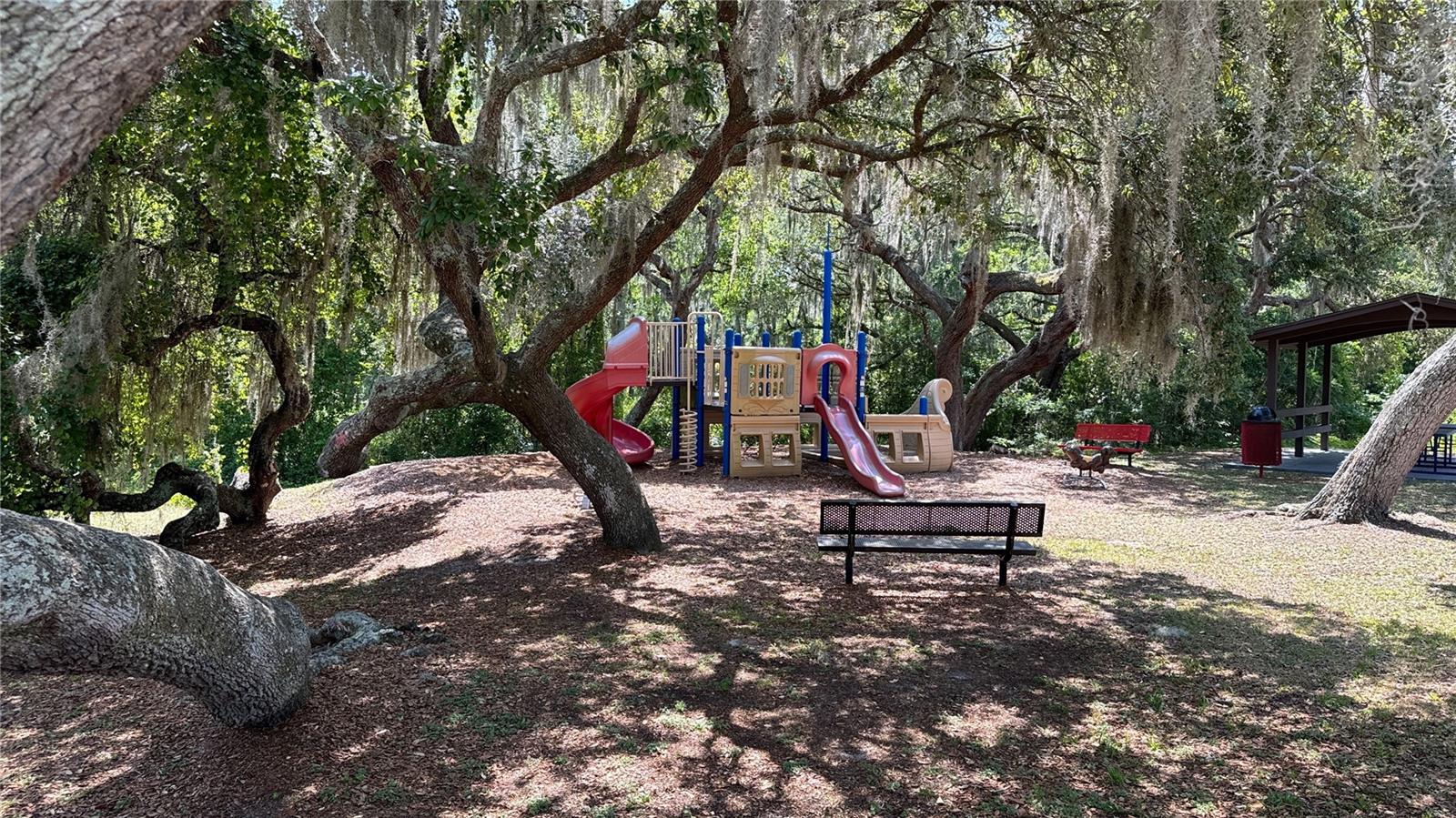 000 HULL RD, CLERMONT, FL, 34711