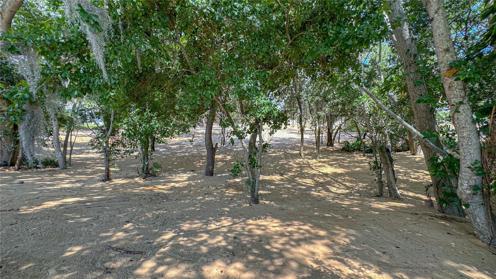 000 HULL RD, CLERMONT, FL, 34711