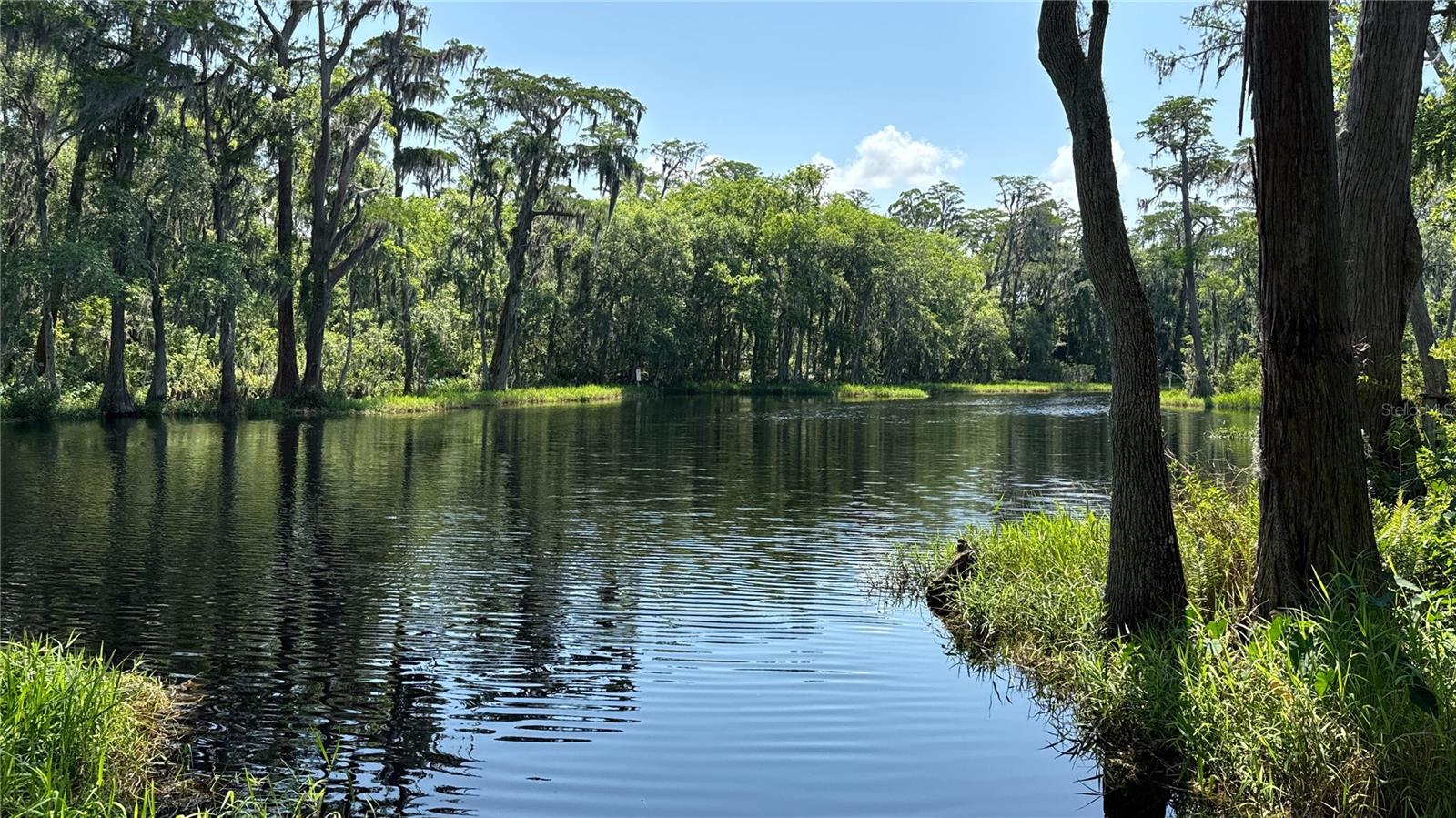 000 HULL RD, CLERMONT, FL, 34711