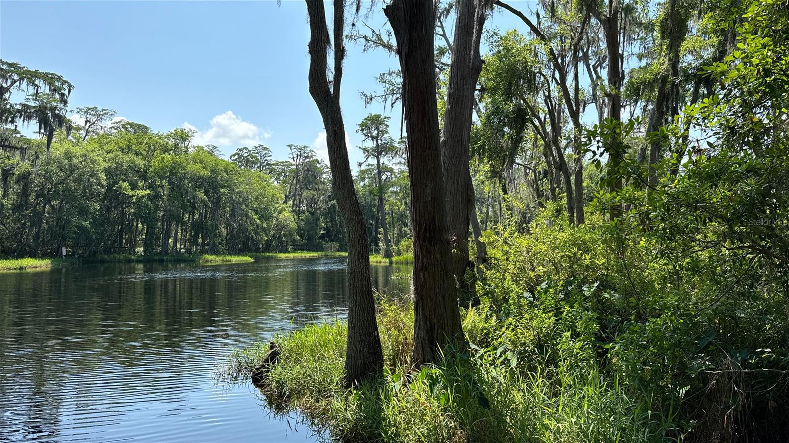 000 HULL RD, CLERMONT, FL, 34711