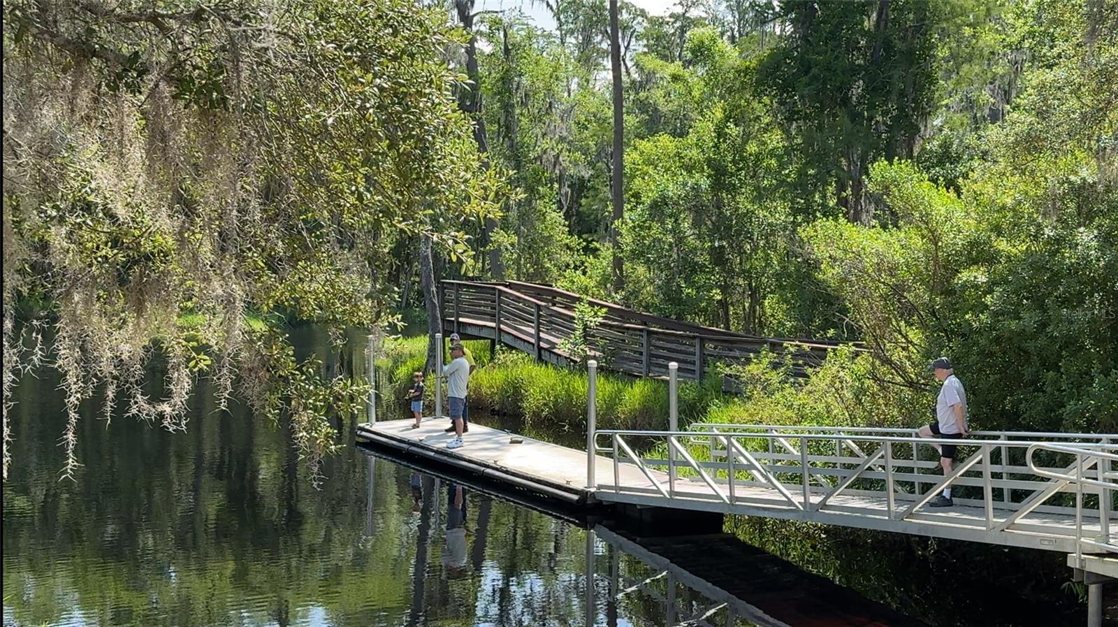 000 HULL RD, CLERMONT, FL, 34711