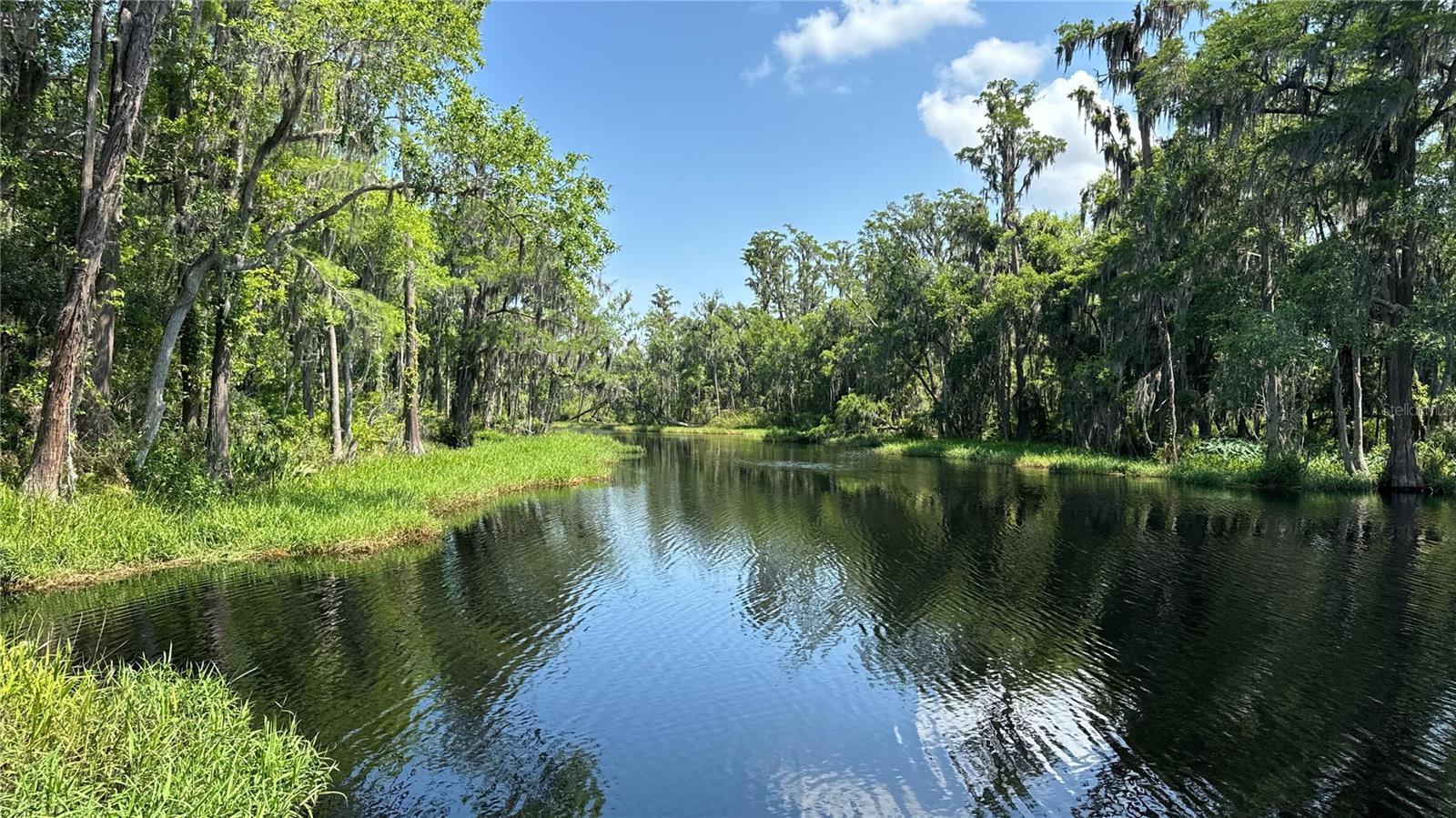 000 HULL RD, CLERMONT, FL, 34711