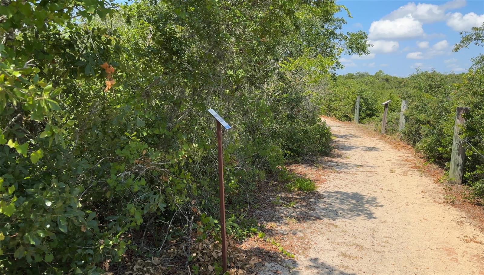 000 HULL RD, CLERMONT, FL, 34711