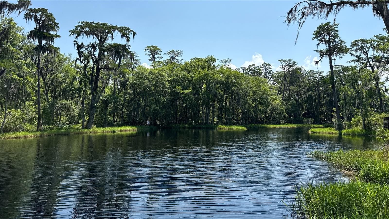 000 HULL RD, CLERMONT, FL, 34711