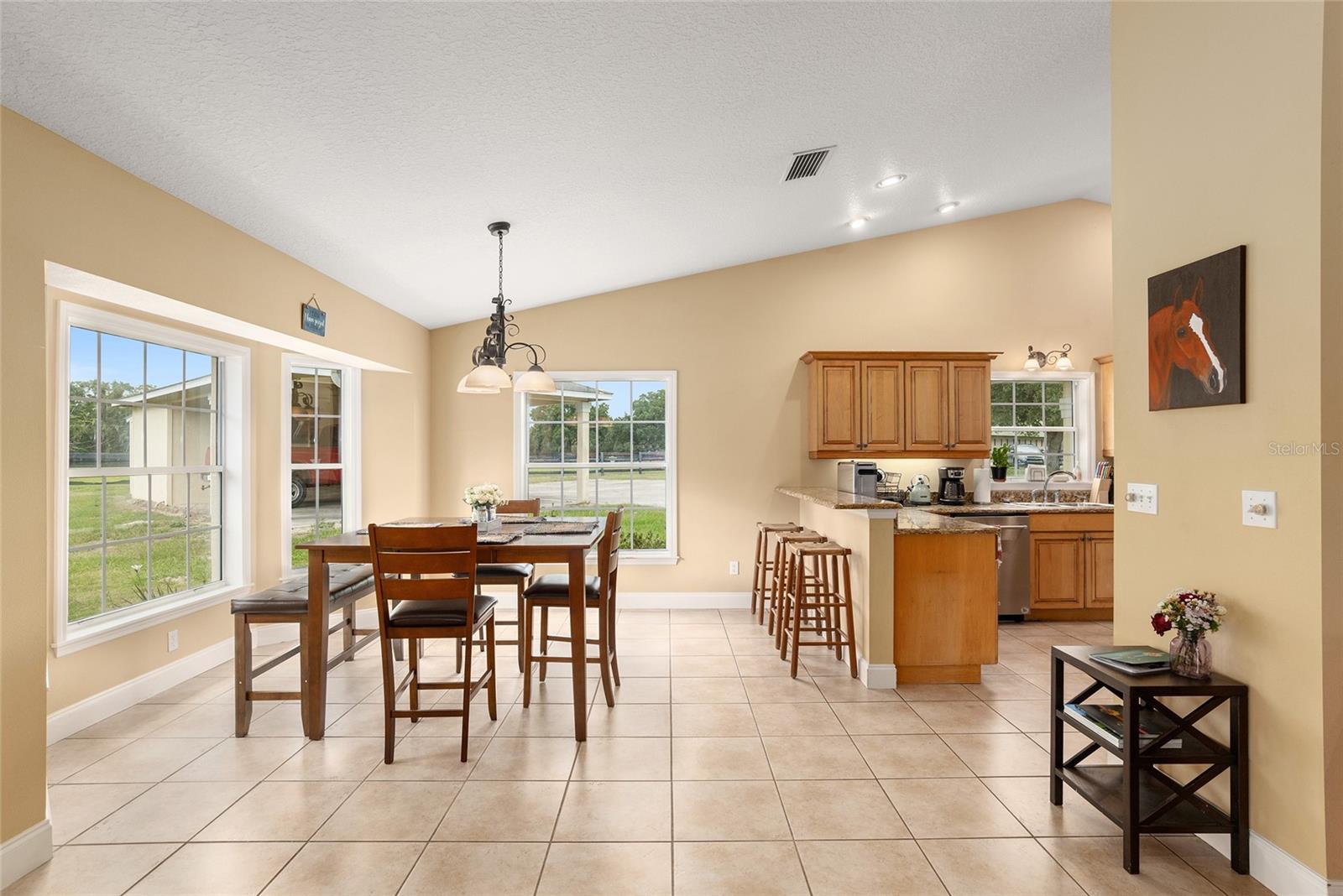 6674 NW 150TH AVE, MORRISTON, FL, 32668