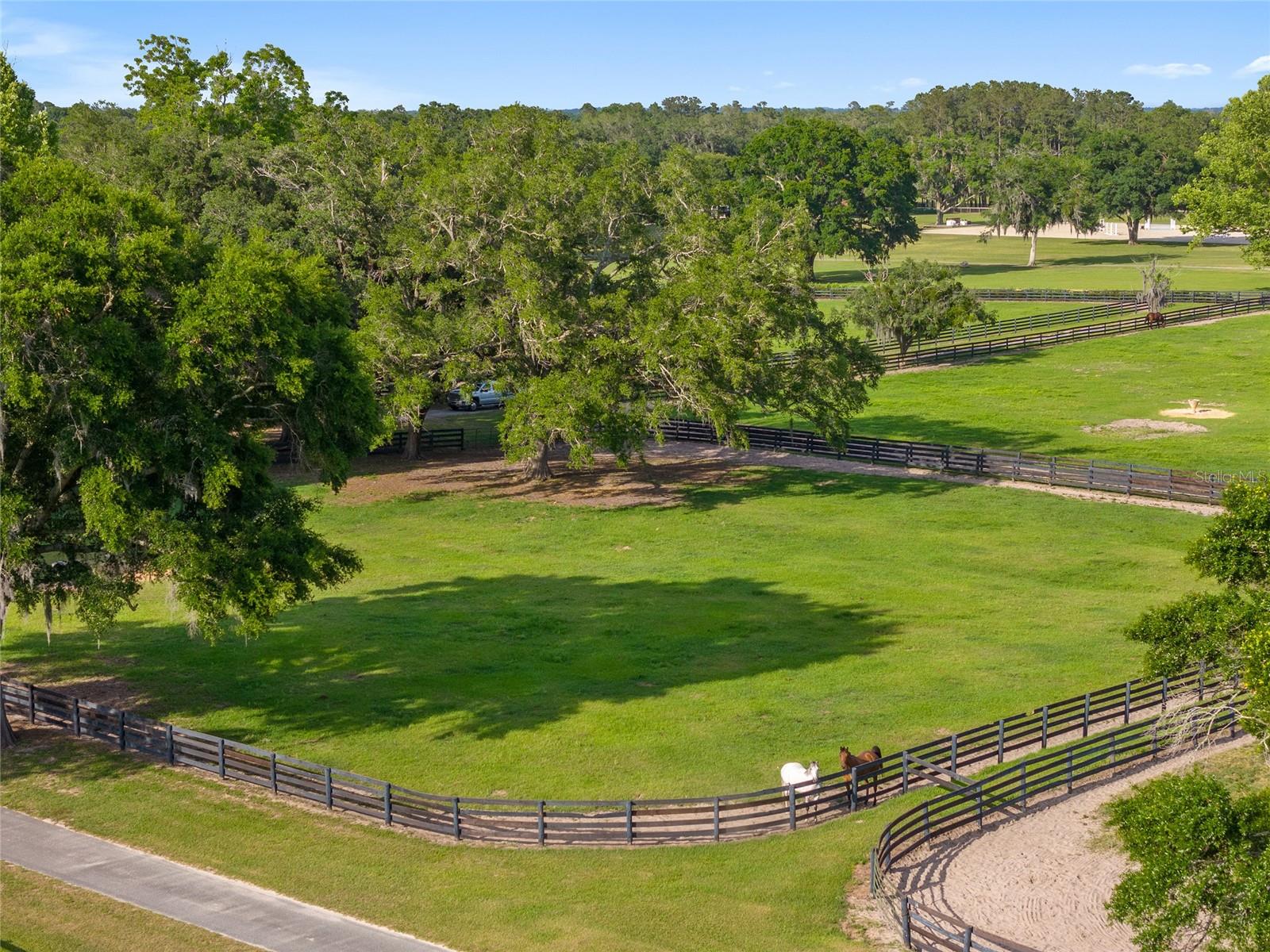6674 NW 150TH AVE, MORRISTON, FL, 32668