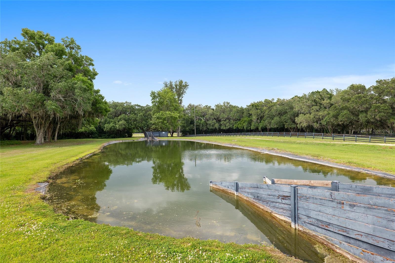 6674 NW 150TH AVE, MORRISTON, FL, 32668