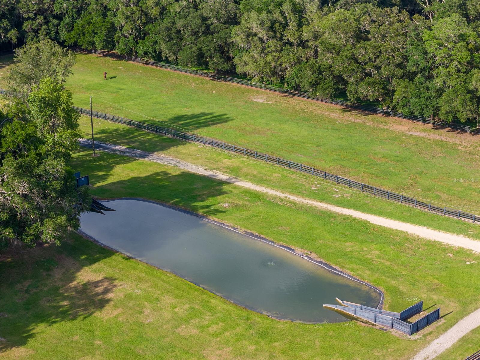 6674 NW 150TH AVE, MORRISTON, FL, 32668