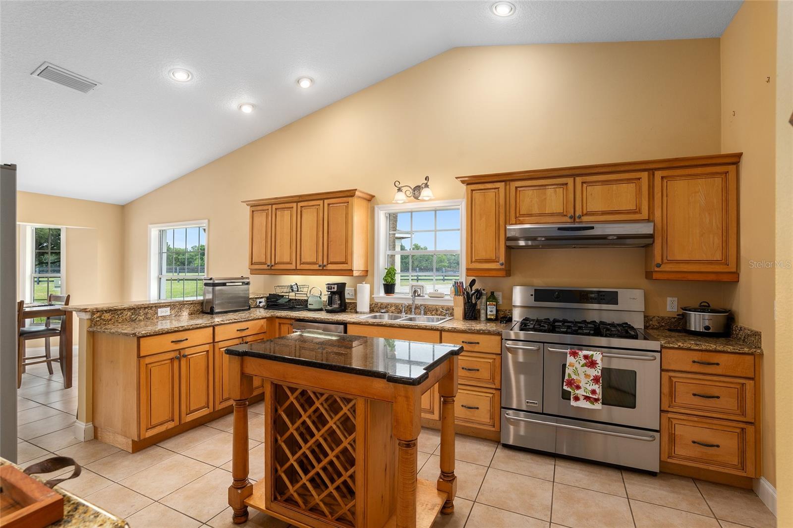 6674 NW 150TH AVE, MORRISTON, FL, 32668