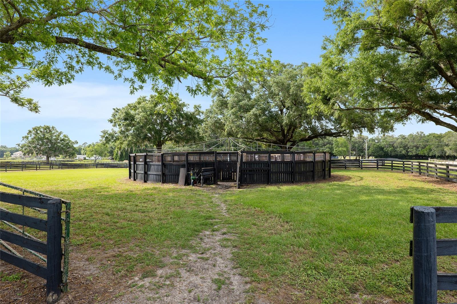 6674 NW 150TH AVE, MORRISTON, FL, 32668