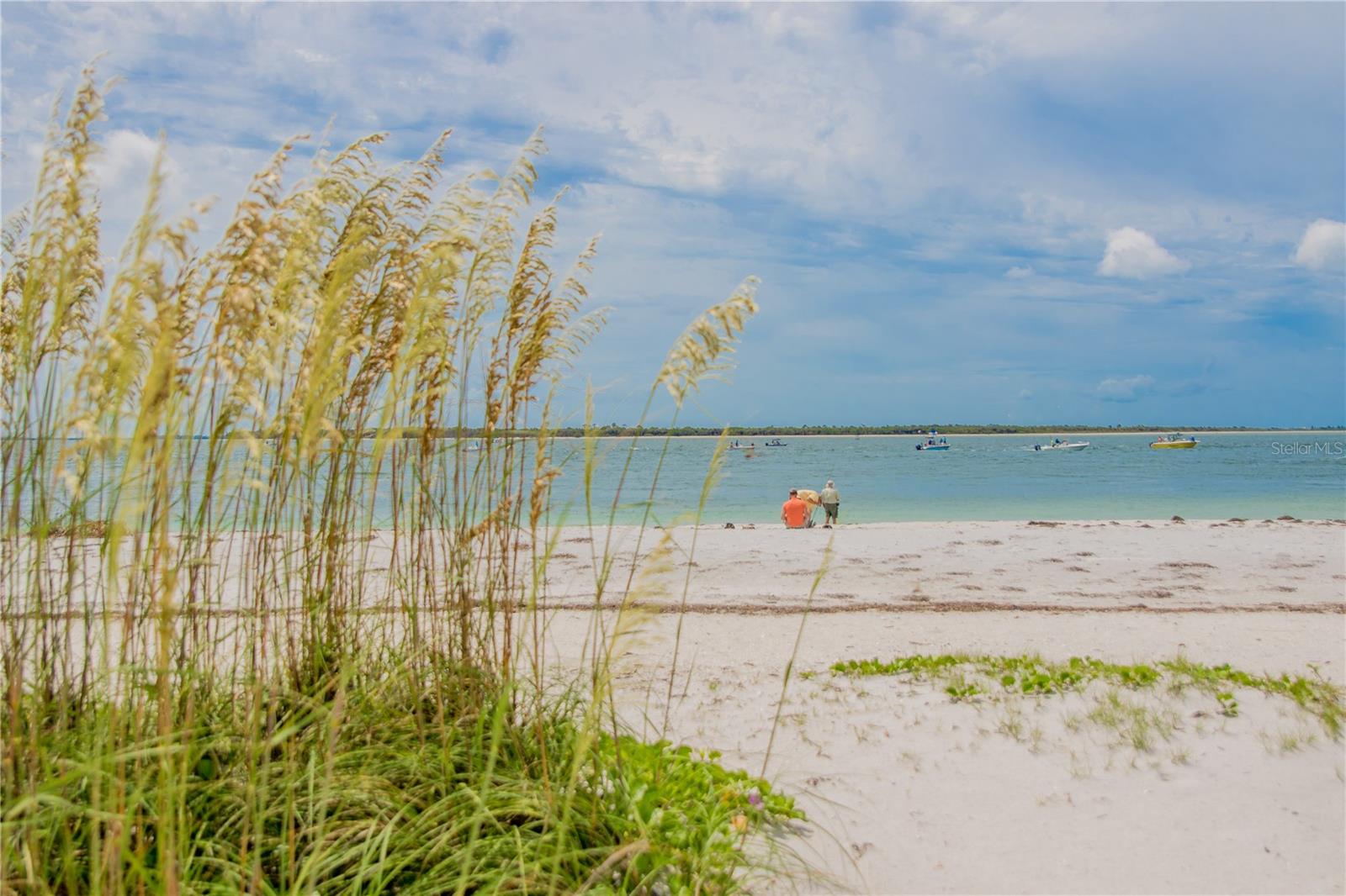 8207 DELAND, PORT CHARLOTTE, FL, 33981