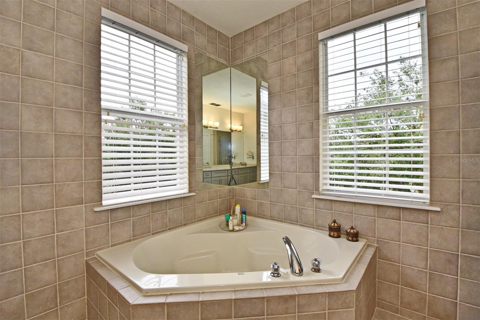 1126 TAPESTRY DR, CELEBRATION, FL, 34747