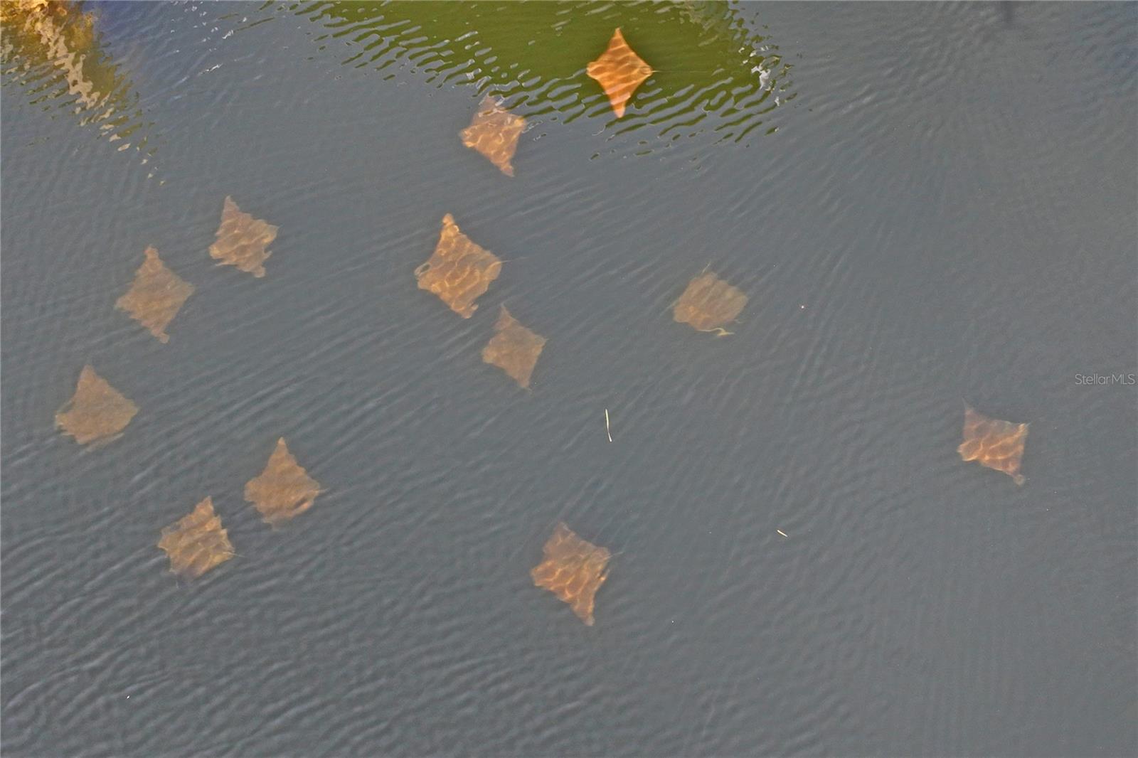 3154 BRIGANTINE CT, NEW PORT RICHEY, FL, 34652