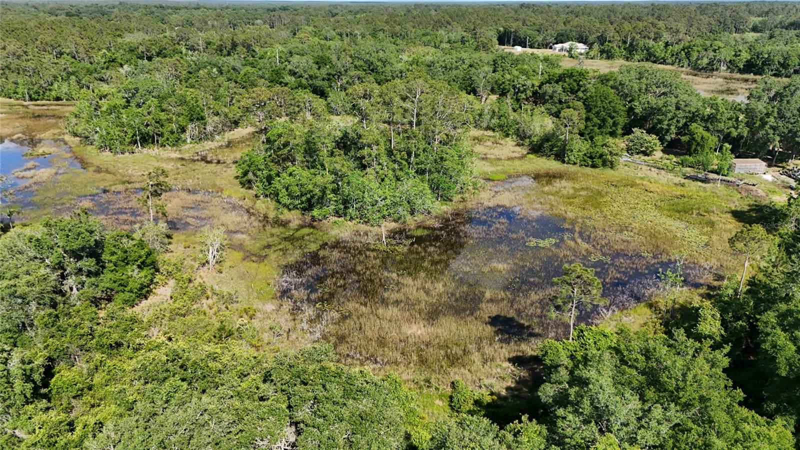 TBD 170th SE AVENUE RD, OCKLAWAHA, FL, 32179
