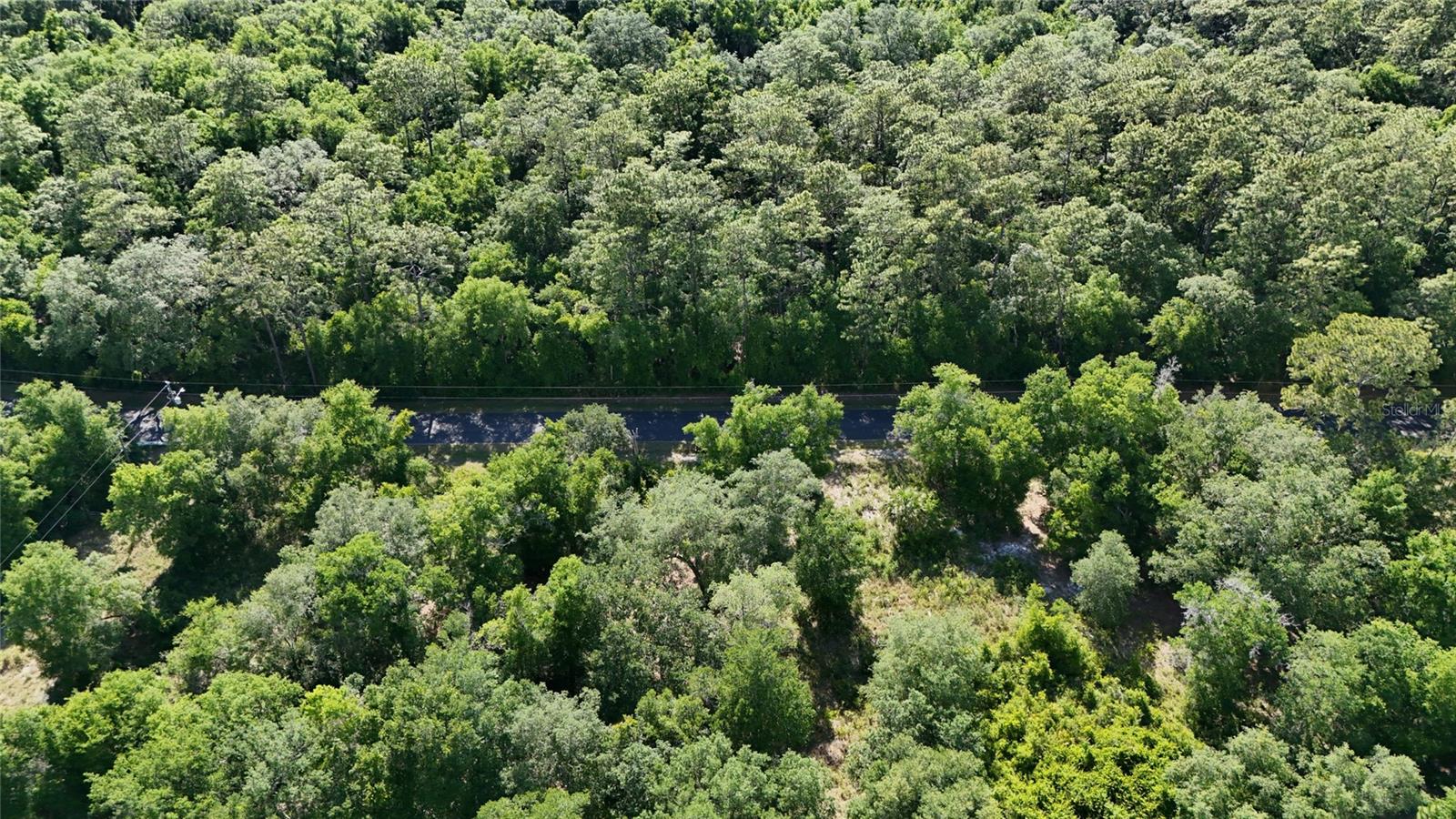 TBD 170th SE AVENUE RD, OCKLAWAHA, FL, 32179