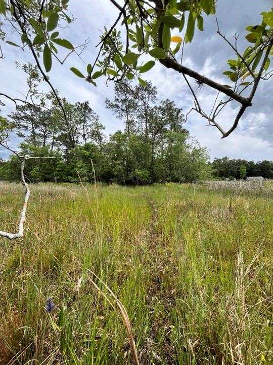 TBD 170th SE AVENUE RD, OCKLAWAHA, FL, 32179