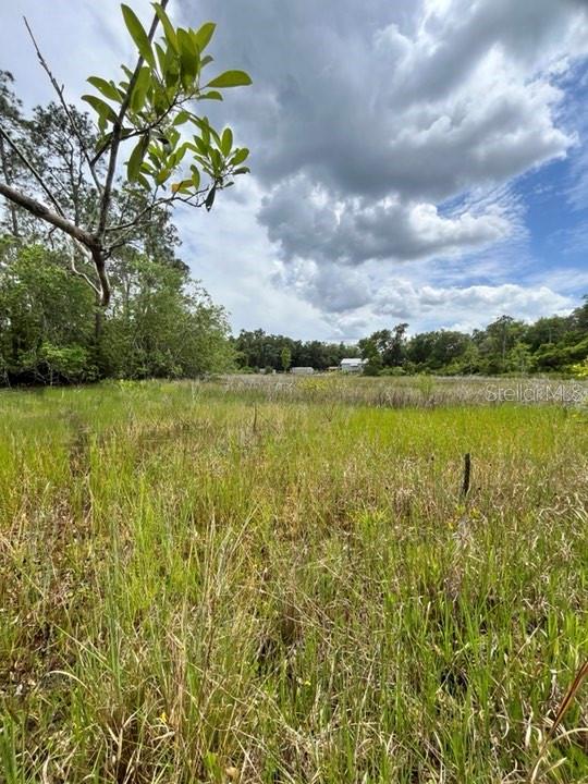 TBD 170th SE AVENUE RD, OCKLAWAHA, FL, 32179