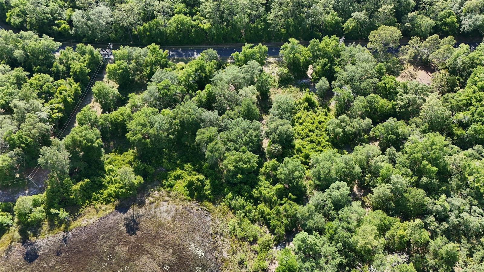 TBD 170th SE AVENUE RD, OCKLAWAHA, FL, 32179