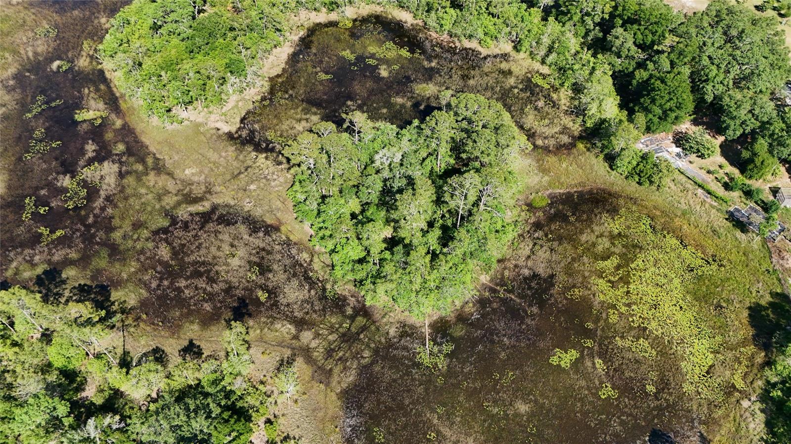 TBD 170th SE AVENUE RD, OCKLAWAHA, FL, 32179