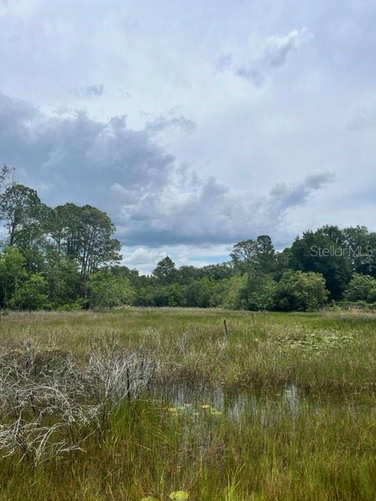 TBD 170th SE AVENUE RD, OCKLAWAHA, FL, 32179