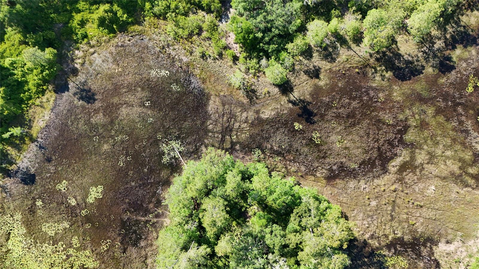 TBD 170th SE AVENUE RD, OCKLAWAHA, FL, 32179