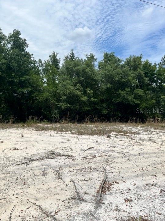 TBD 170th SE AVENUE RD, OCKLAWAHA, FL, 32179