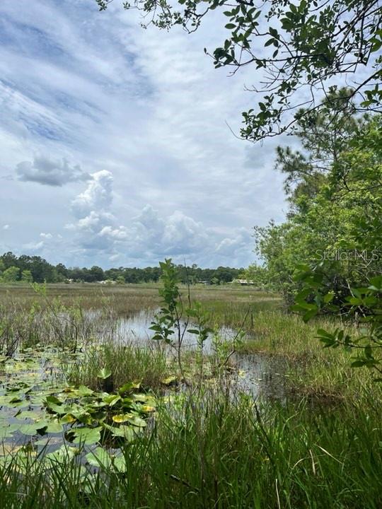 TBD 170th SE AVENUE RD, OCKLAWAHA, FL, 32179