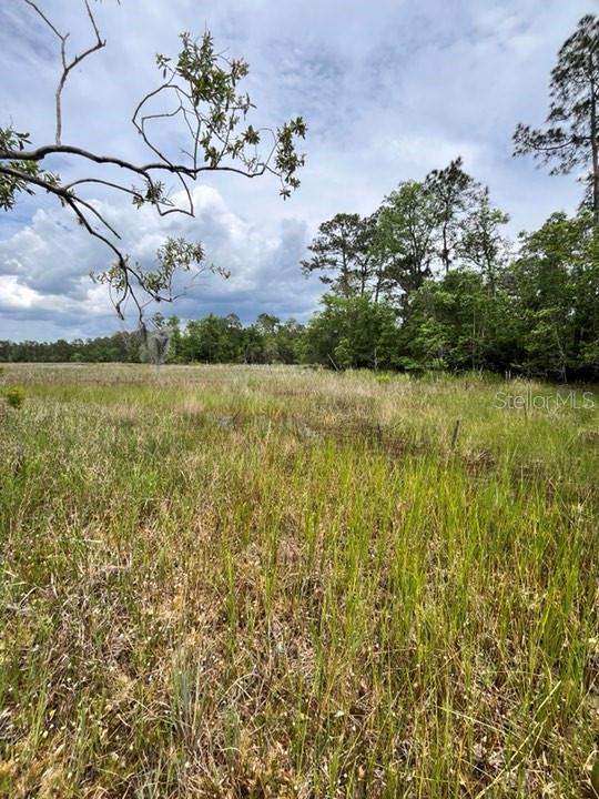 TBD 170th SE AVENUE RD, OCKLAWAHA, FL, 32179