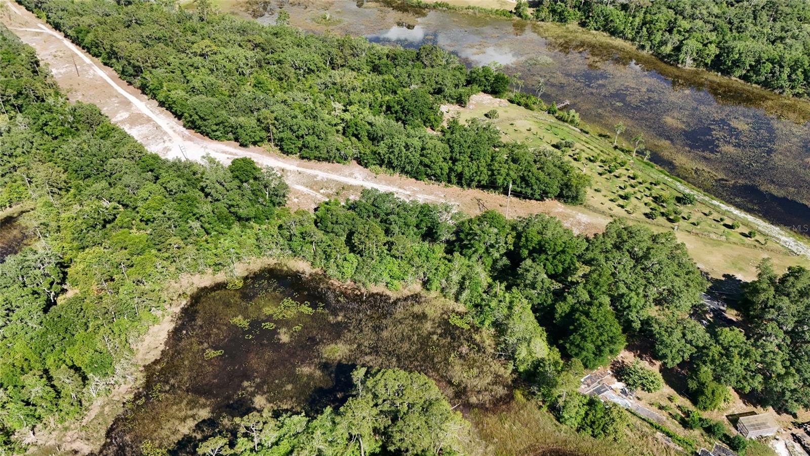 TBD 170th SE AVENUE RD, OCKLAWAHA, FL, 32179
