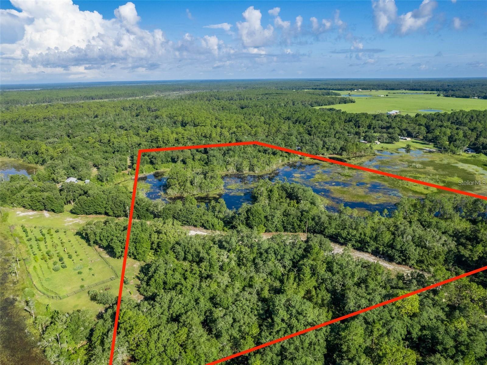 TBD 170th SE AVENUE RD, OCKLAWAHA, FL, 32179