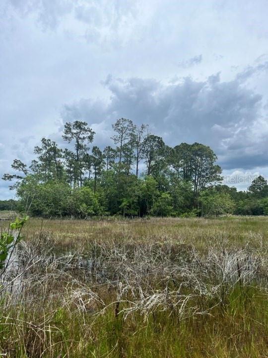 TBD 170th SE AVENUE RD, OCKLAWAHA, FL, 32179