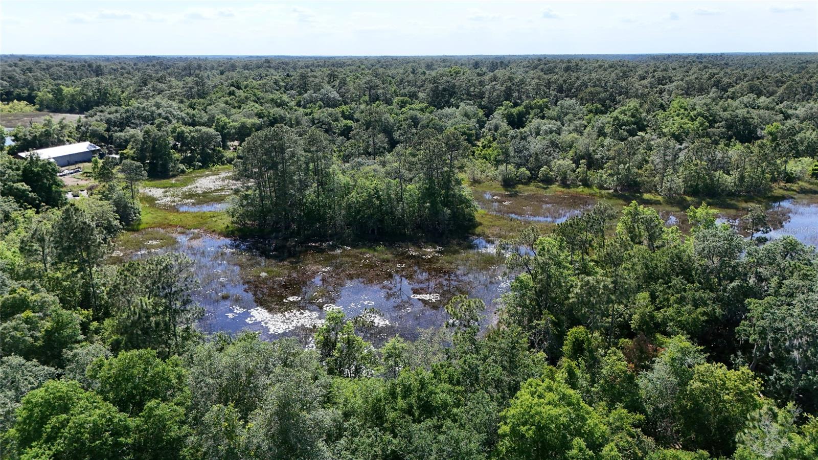 TBD 170th SE AVENUE RD, OCKLAWAHA, FL, 32179