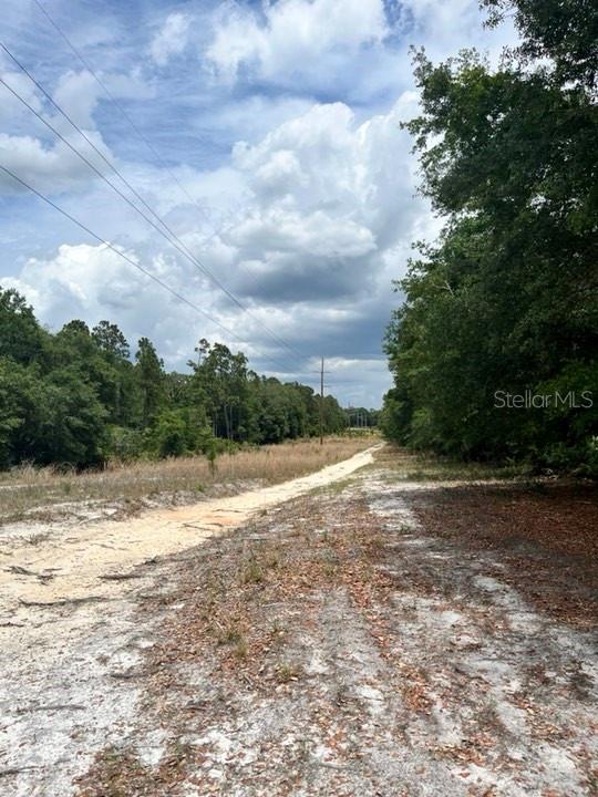 TBD 170th SE AVENUE RD, OCKLAWAHA, FL, 32179