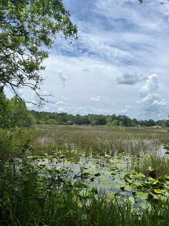 TBD 170th SE AVENUE RD, OCKLAWAHA, FL, 32179