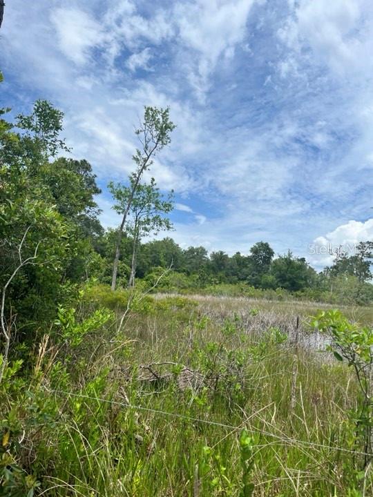 TBD 170th SE AVENUE RD, OCKLAWAHA, FL, 32179
