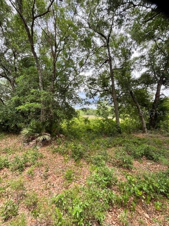 TBD 170th SE AVENUE RD, OCKLAWAHA, FL, 32179