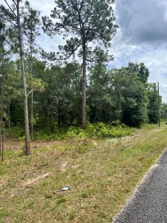 TBD 170th SE AVENUE RD, OCKLAWAHA, FL, 32179