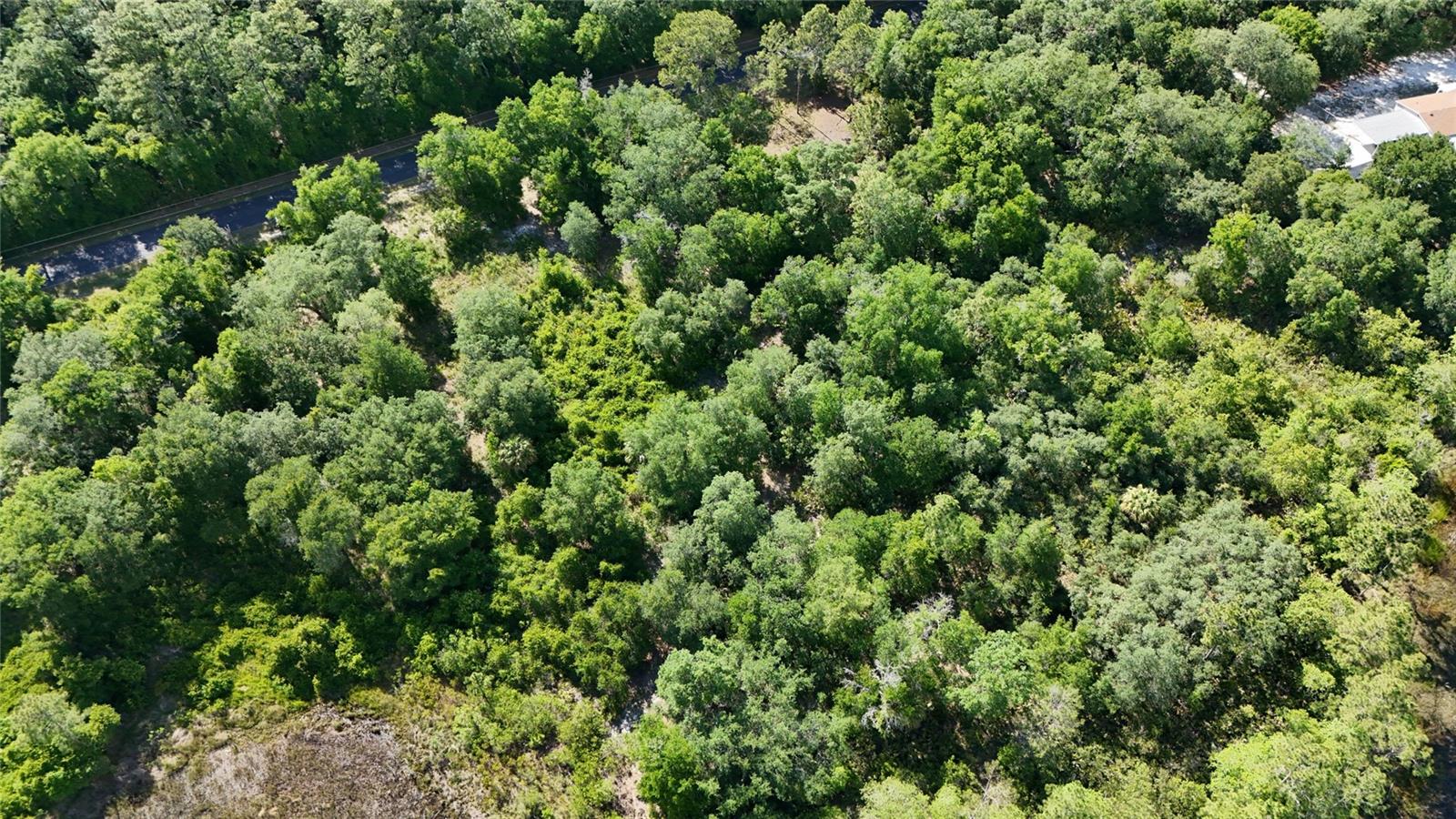 TBD 170th SE AVENUE RD, OCKLAWAHA, FL, 32179