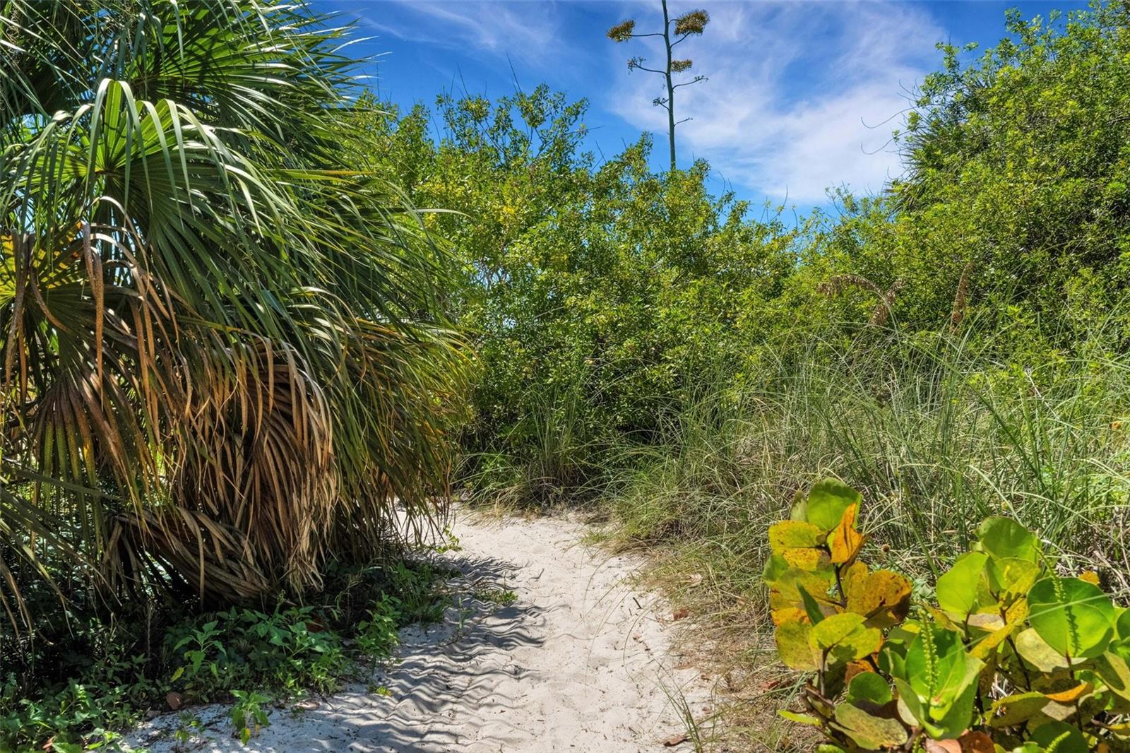 3108 S MARITANA DR, ST PETE BEACH, FL, 33706