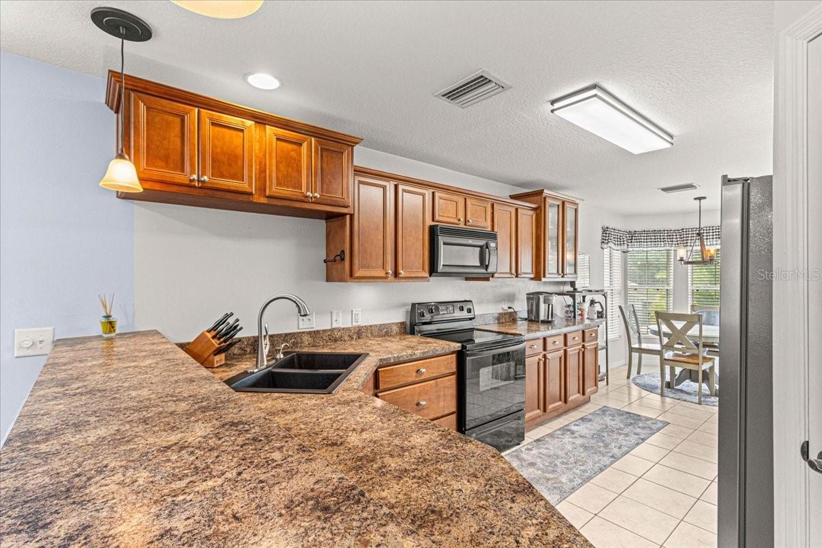 210 FOREST PARK LN, LADY LAKE, FL, 32159