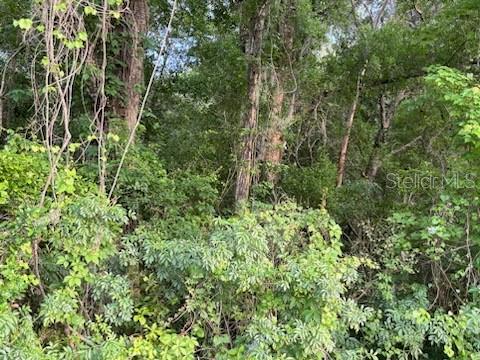 10845 ROCKRIDGE RD, LAKELAND, FL, 33809