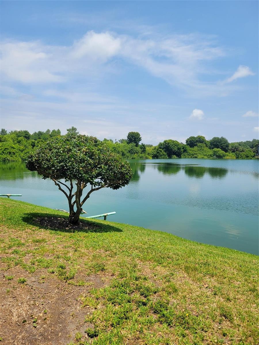 11485 OAKHURST RD #-107, LARGO, FL, 33774