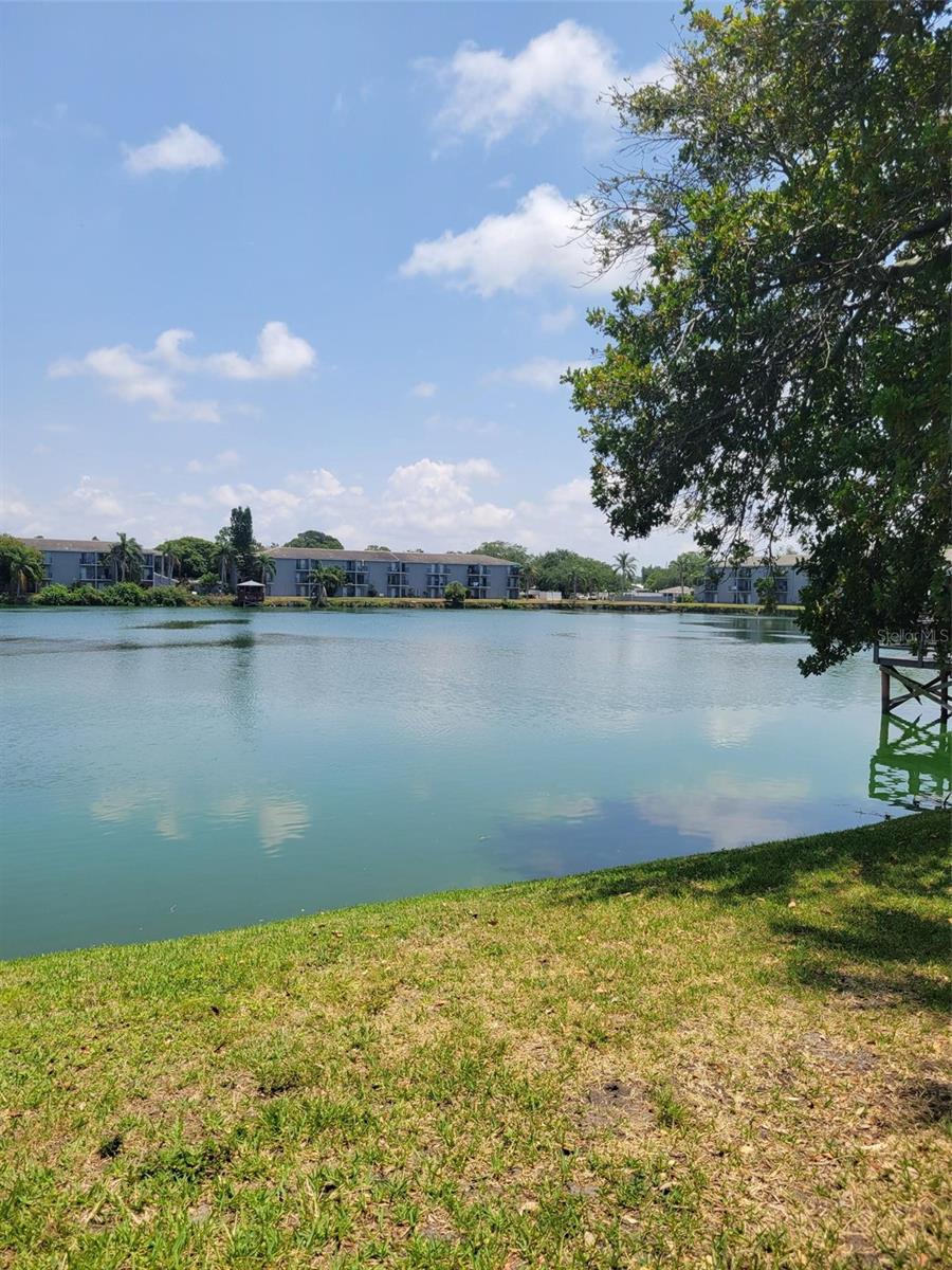 11485 OAKHURST RD #-107, LARGO, FL, 33774