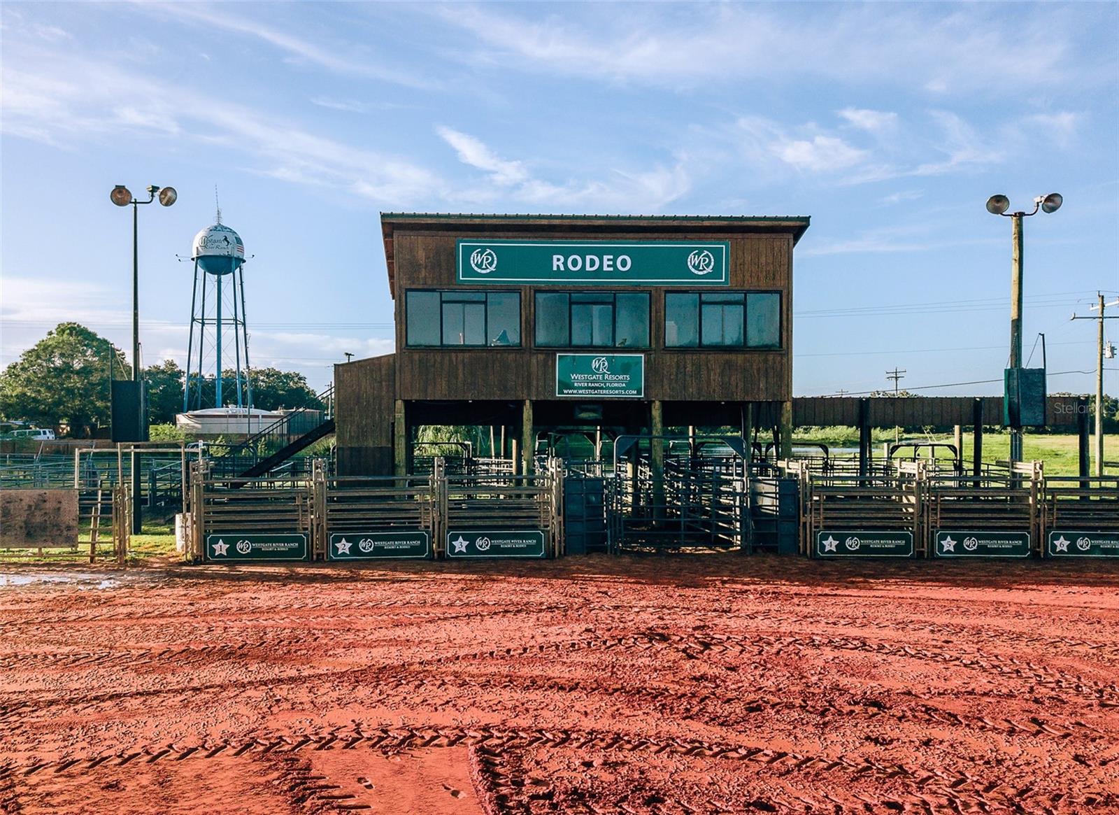 371 BOB CAT LN, RIVER RANCH, FL, 33867