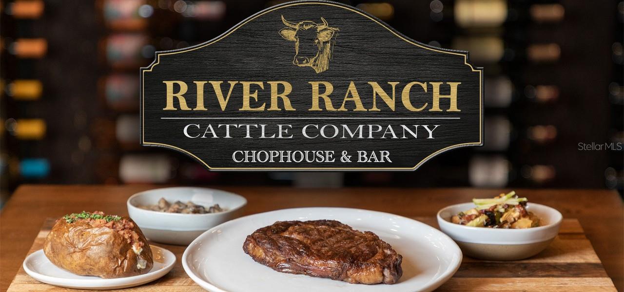 371 BOB CAT LN, RIVER RANCH, FL, 33867