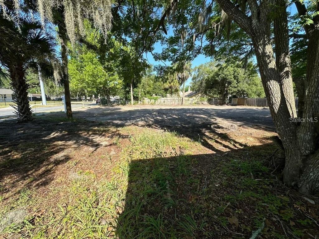 513 LINCOLN AVE, MOUNT DORA, FL, 32757